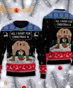 All I Want For Christmas Is You Funny Ugly Christmas Sweater – Holiday Sweater